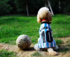 专业人才集结，铸就设计与服务双优势